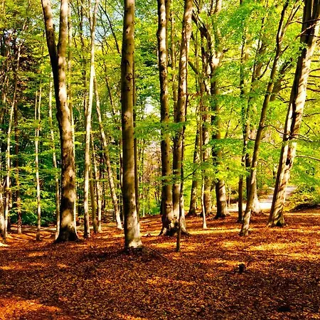 Monterosso ורבאניה