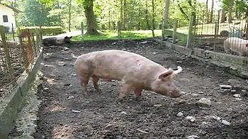 Monterosso * Verbania