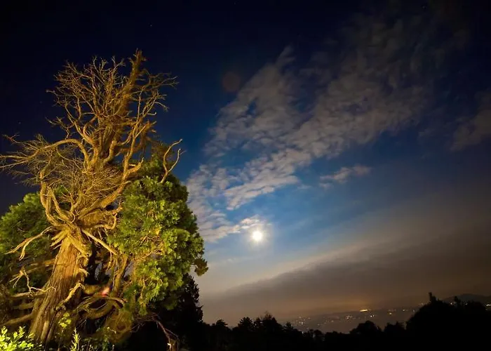 Monterosso Gospodarstwo agroturystyczne Verbania