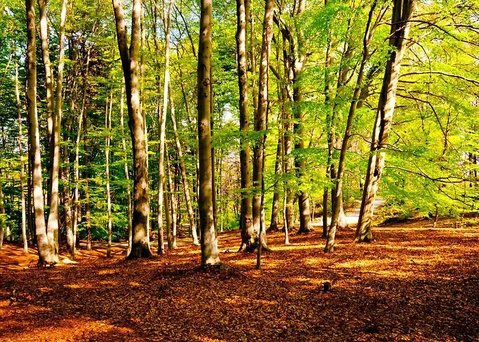 Monterosso Βερμπάνια